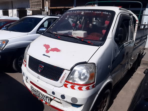 هافي ميني 2010 - صورة 4