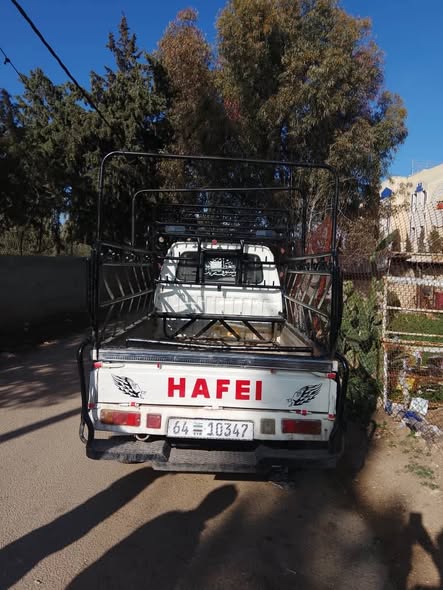 هافي سونغ 2011 - صورة 2