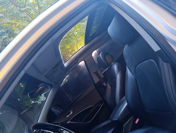 دي ام سنتفي 2013 - صورة 3