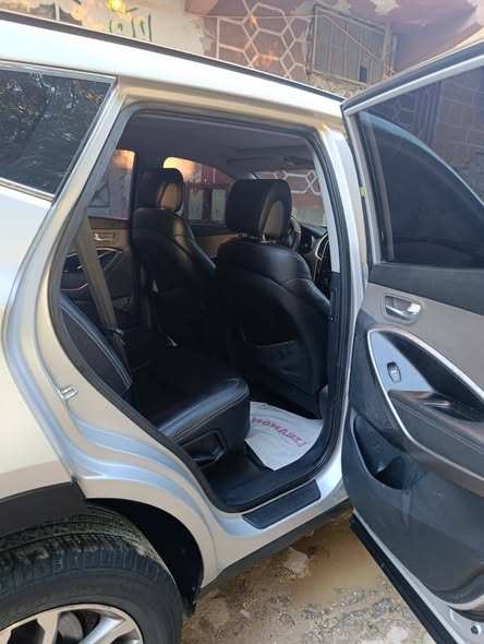 دي ام سنتفي 2013 - صورة 4