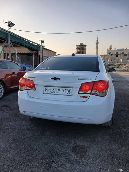 شفر كروز 2010 - صورة 2