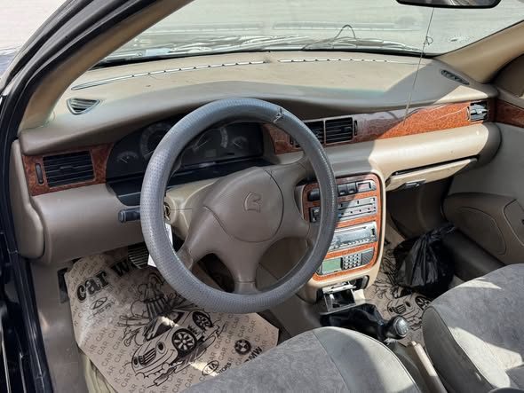 شام شام 2008 - صورة 3