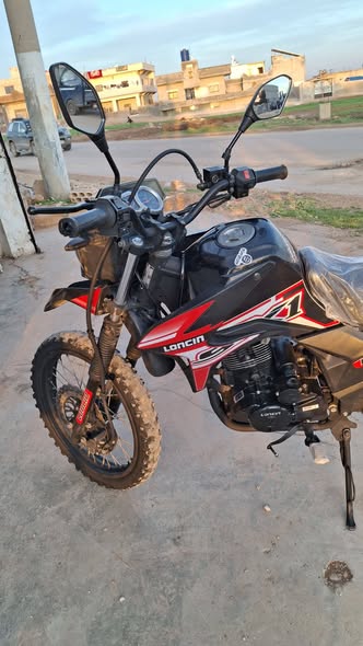 Loncine 201 2021 - صورة 3