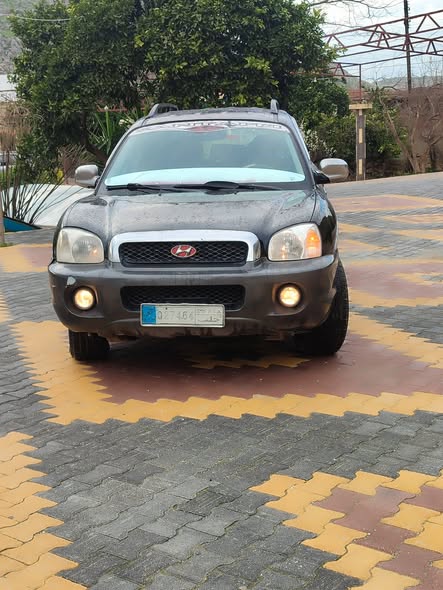 هيونداي سانتا في 2005 - صورة 4