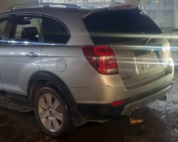 شفر كابتيفا 2008 - صورة 2