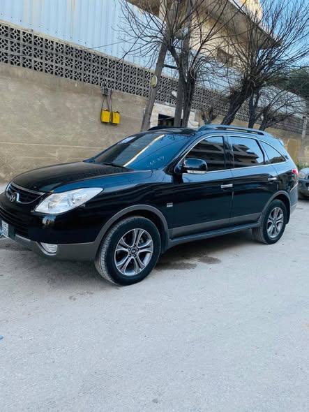 هيونداي فيرنا كروز 2009 - صورة 3