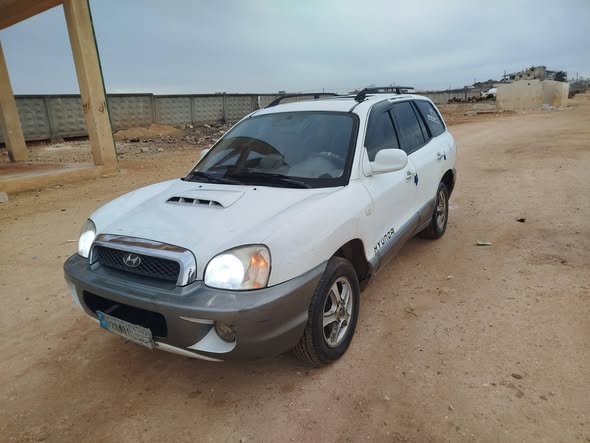 هيونداي سانتافيه 2001 - صورة 2