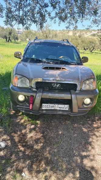 هيونداي سنتافي 2001 - صورة 2