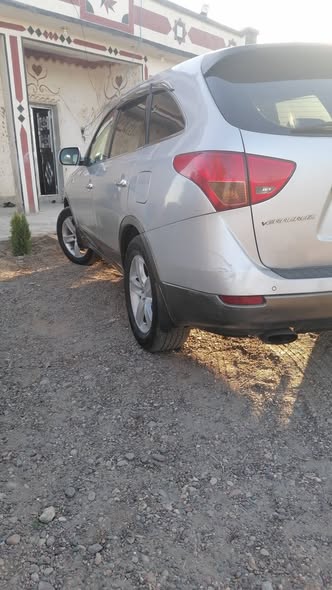 فير كروز 2008 - صورة 2