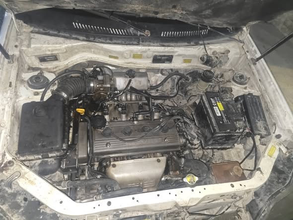 سيكي ون كرت 2007 - صورة 3