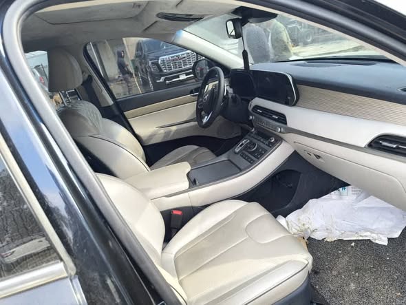 Hyundai Palisade 2020 - صورة 3