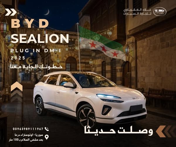 بي واي دي سيليون 2025