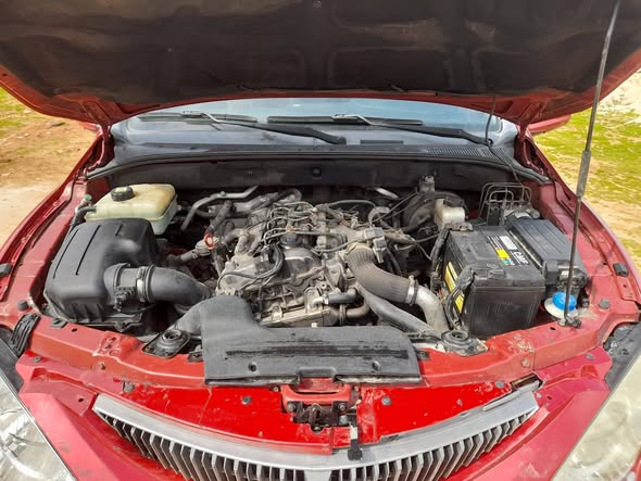 سونغ يونغ Song 2011 - صورة 3