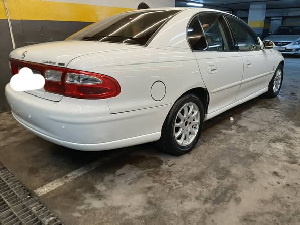 شفر لومينا 2001 - صورة 4