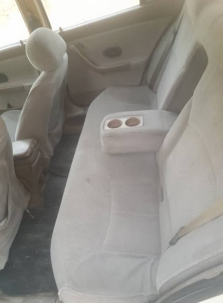 شام شام 2008 - صورة 4