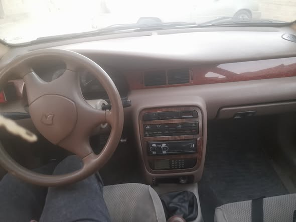 شام شام 2008 - صورة 5