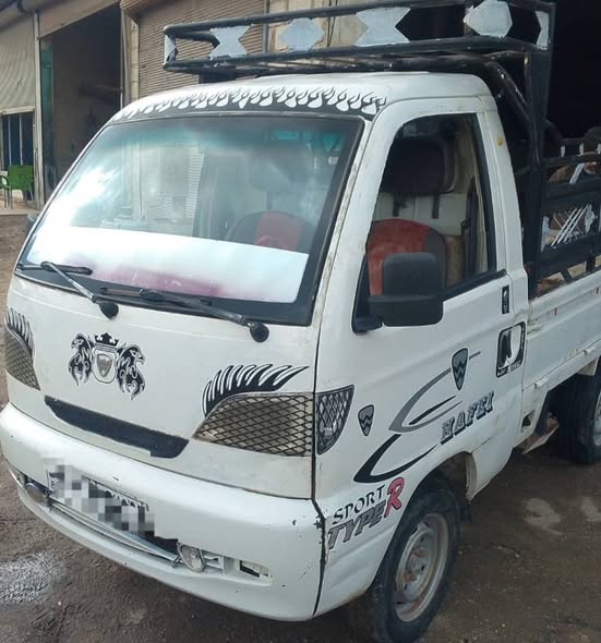 هافاي سونك 2009 - صورة 2