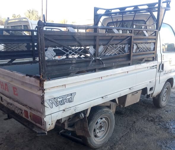 هافاي سونك 2009 - صورة 4