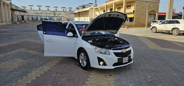 شفر كورز 2013 - صورة 2