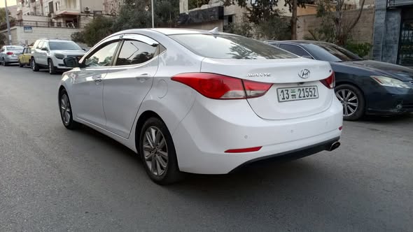 افانتي افانتي 2014 - صورة 4