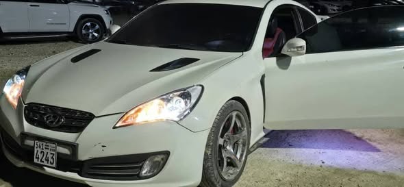 جنسس كوبيه 2010 - صورة 5