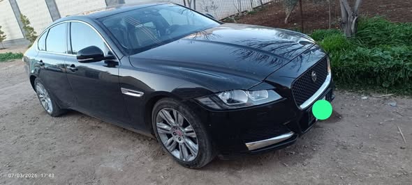 جاكور xf 2016 - صورة 3