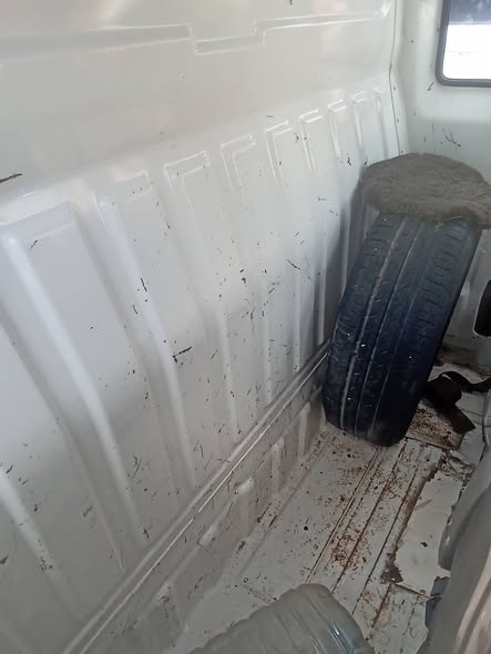 هافي مني 2011 - صورة 1