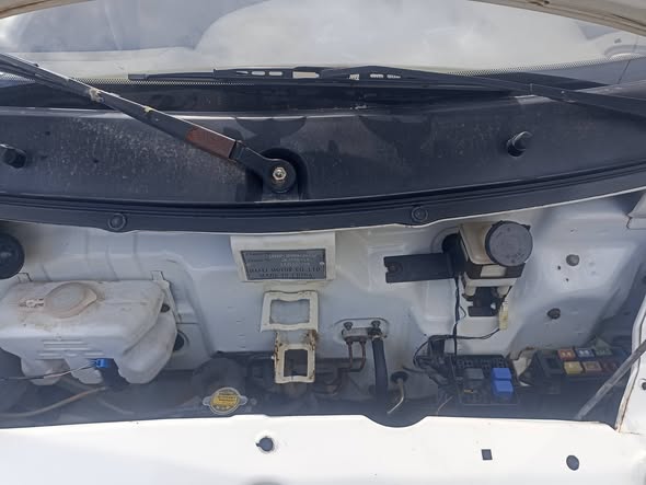 هافي مني 2011 - صورة 2