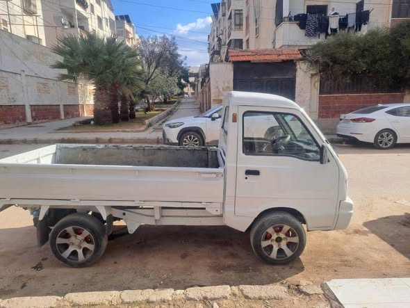 شانا قطة 2006 - صورة 2