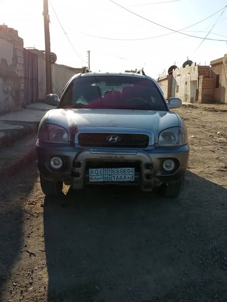 جيب ضفدع 2003 - صورة 1