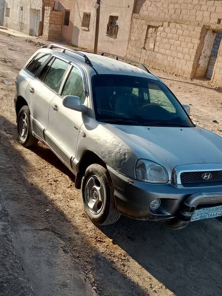 جيب ضفدع 2003 - صورة 4