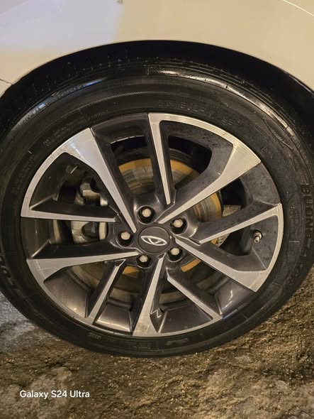 شيري اريزو 2020 - صورة 4