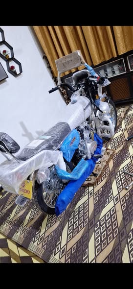 لونسن رأس 150 2026 - صورة 2