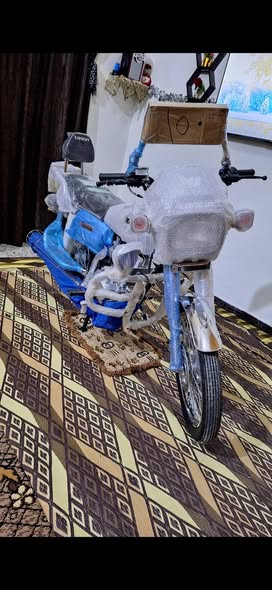 لونسن رأس 150 2026 - صورة 4