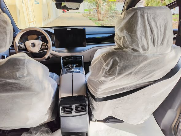 بي واي دي تانج 2025 - صورة 4