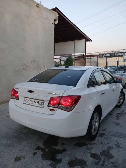 شفر كروز 2010 - صورة 3