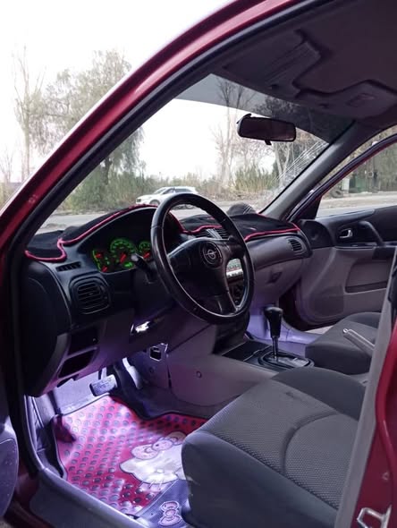 هايمـا هايمـا 2008 - صورة 5