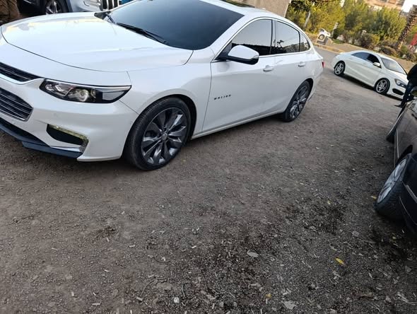 شفر ماليبو 2017 - صورة 2