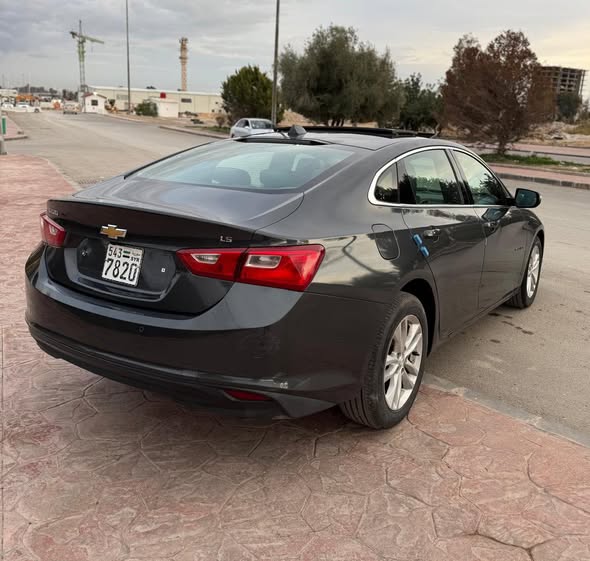 شفر ماليبو 2017 - صورة 1