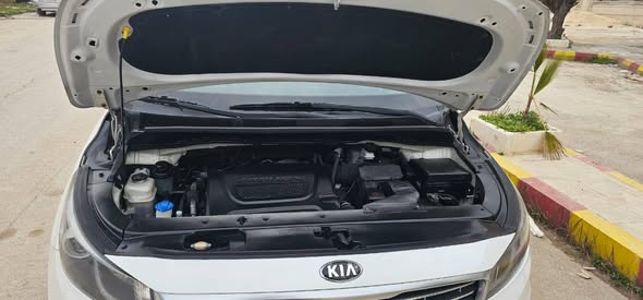 كيا كرنفال 2015 - صورة 4