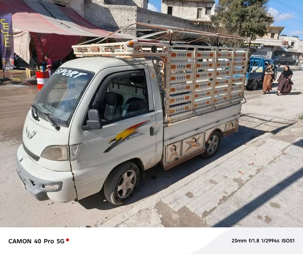 شانجان سونك 2011 - صورة 4