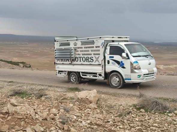 كيا 4000 2008 - صورة 2