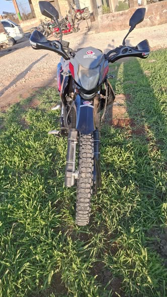 باشان باشان 2017 - صورة 3