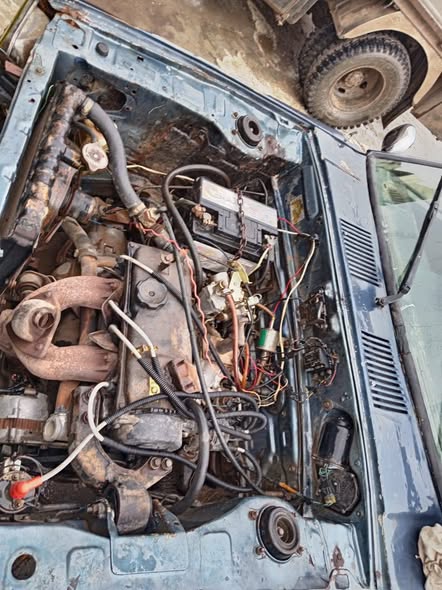 كولف كولف 1983 - صورة 3