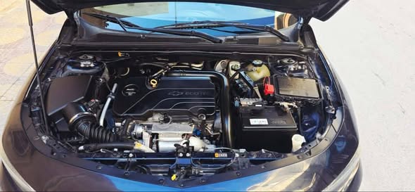 شفر ماليبو 2017 - صورة 3