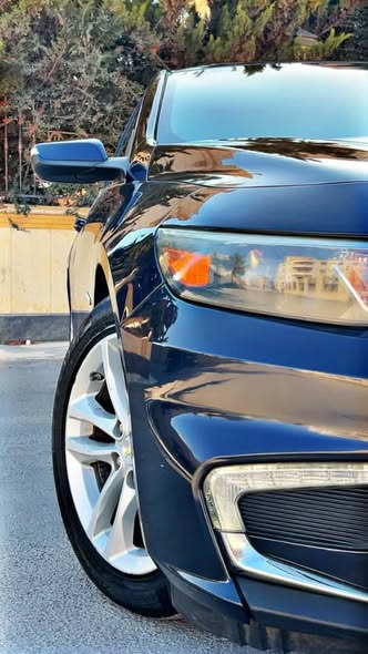 شفر ماليبو 2017 - صورة 4