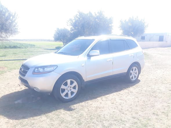 هيونداي سانتافي 2006 - صورة 1