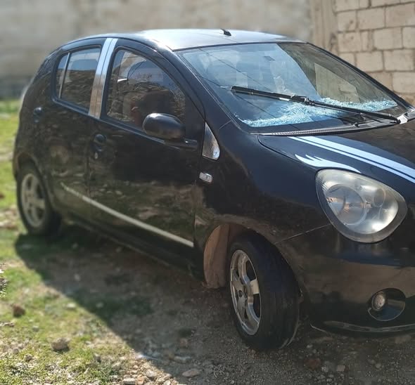 جيلي باندا 2010 - صورة 4