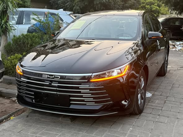 BYD ديستروير 2025 - صورة 2