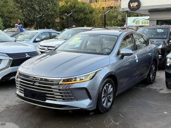 BYD ديستروير 2025 - صورة 3